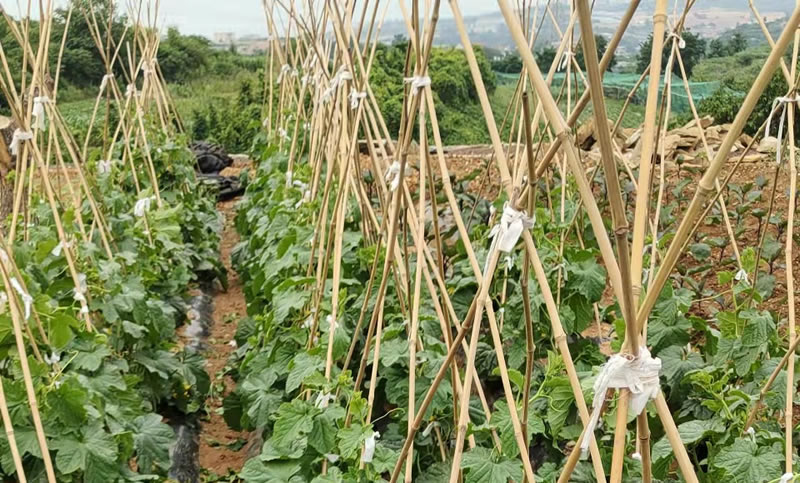 大连月薪3000元养老院怎么选？这份避坑指南请收好